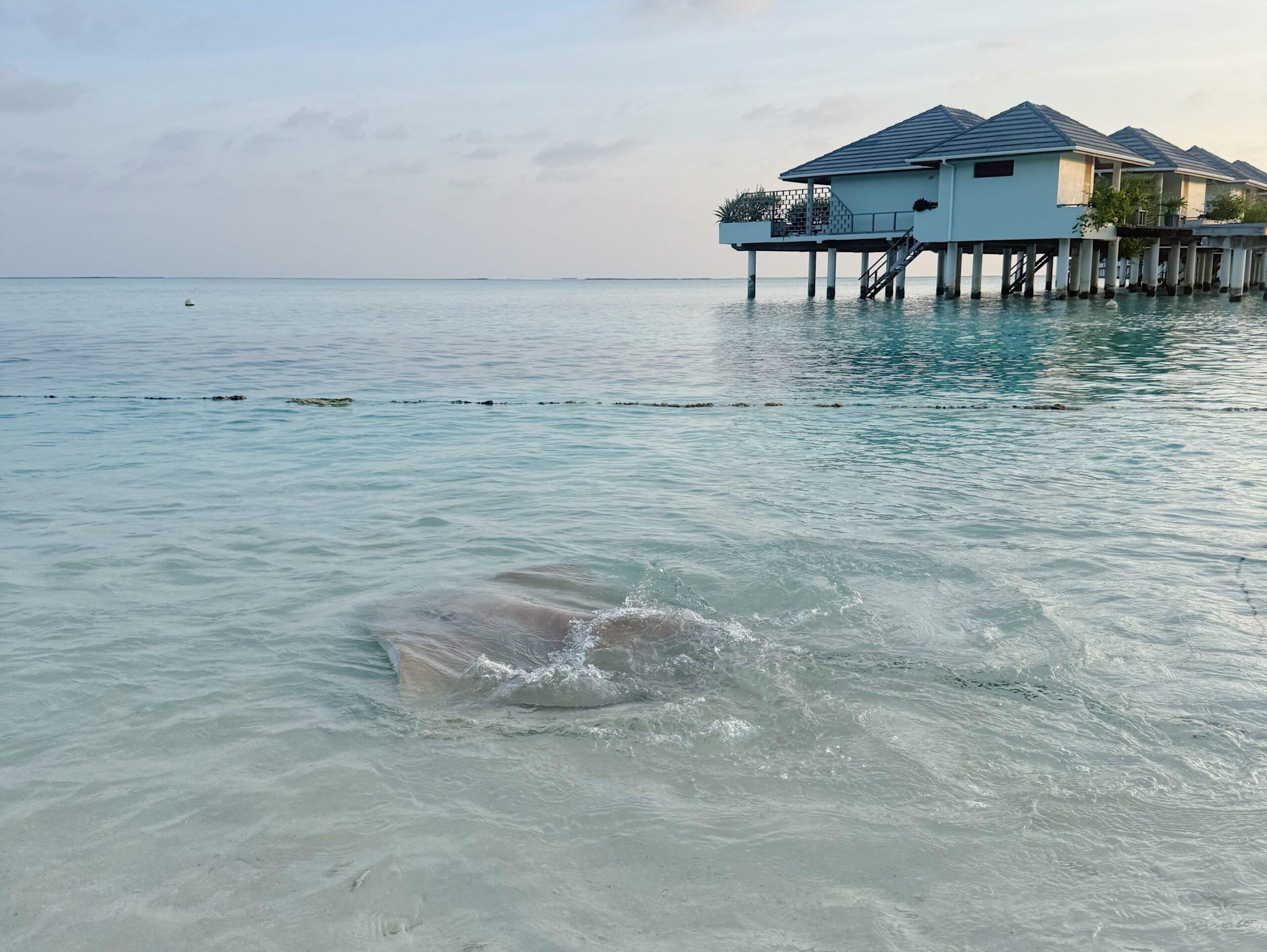 Un Viaggio da sogno alle Maldive